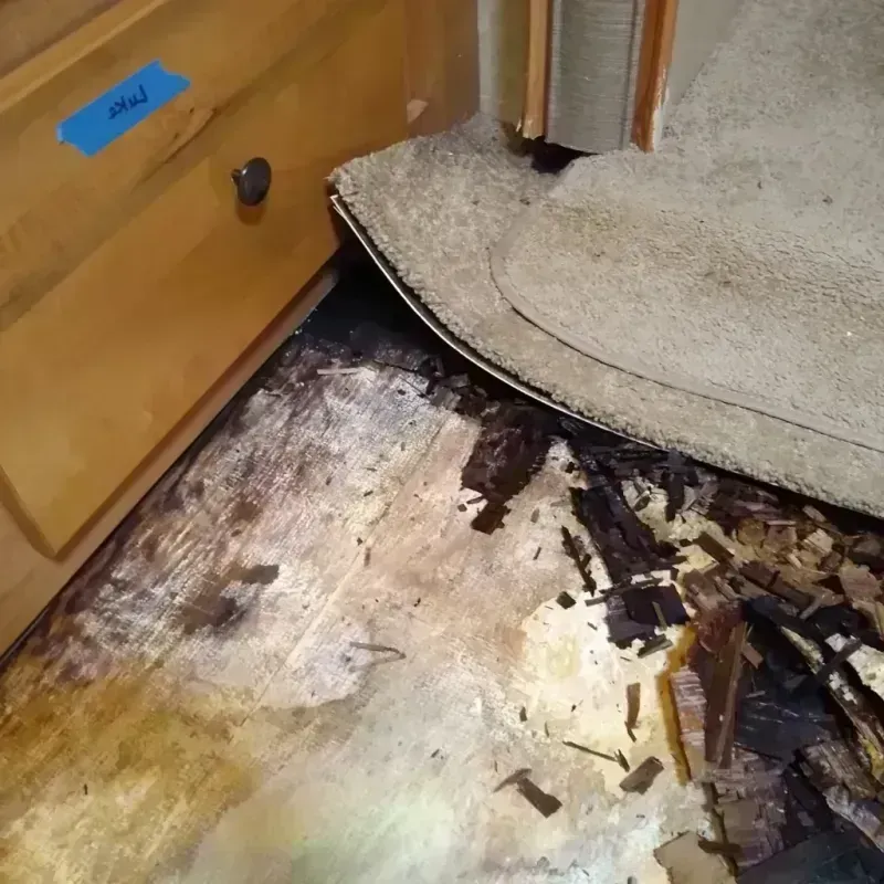 Best Wood Floor Water Damage Service in Astatula, FL